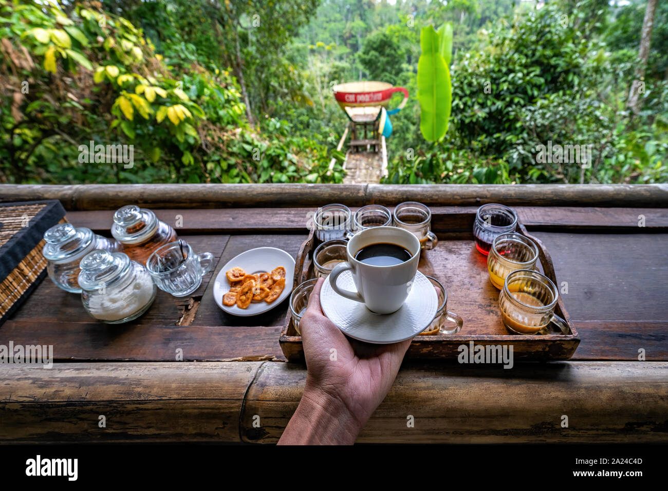 Luwak Kaffee, Kopi Luwak ist Kaffee, die einen Teil - Verdauten Kaffeekirschen gefressen und durch die Asiatische Palm civet in Bali, Indonesien defecated Stockfoto