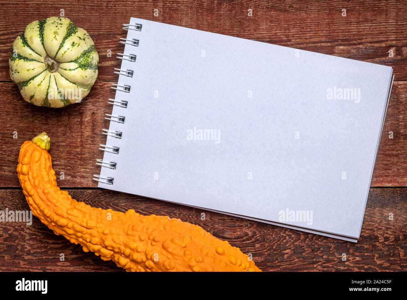 Leere Spirale Art Skizzenbuch gegen die rustikale Scheune Holz mit dekorativen, Kürbisse, Herbstferien Grußkarte Konzept Stockfoto