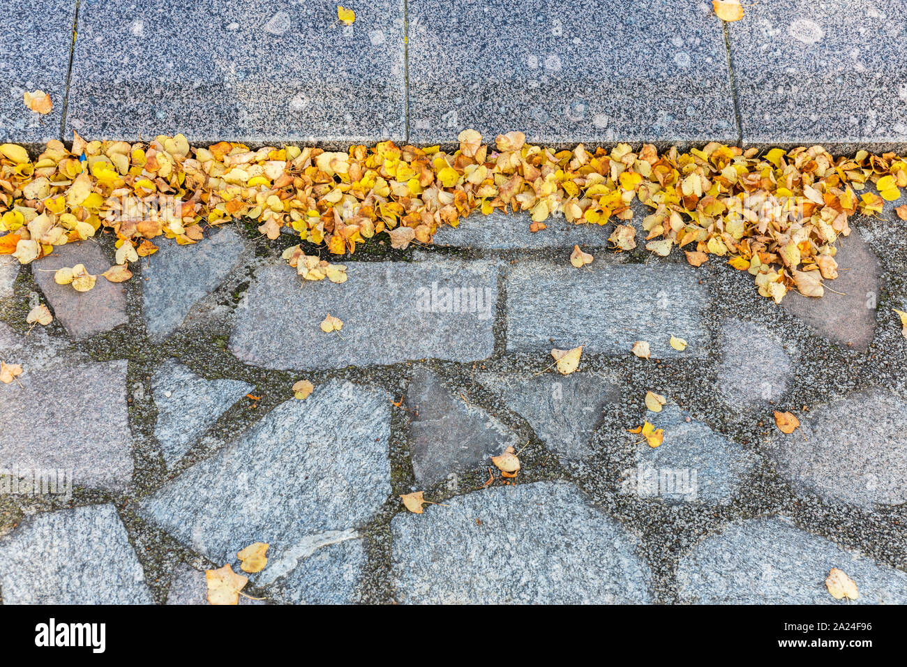 Leuchtend gelb Herbst Laub auf grauem Granit Pflaster. herbstliche Hintergrund Stockfoto