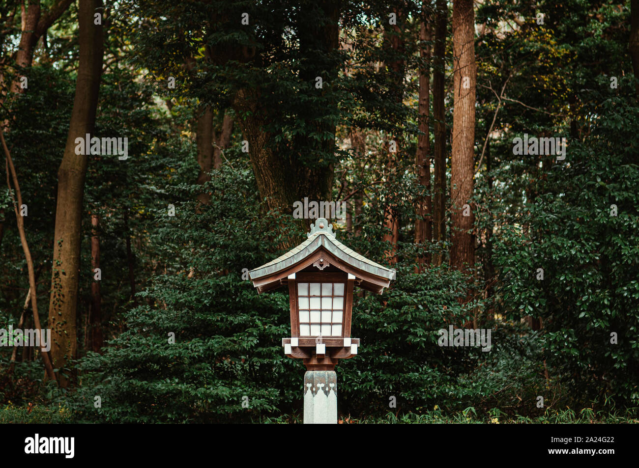 Alte japanische Lampe Dekoration der Meiji Jingu-Schrein unter dem großen Baum im Heiligtum Forest Park in der Nähe von Yoyogi Park. Tokio. Stockfoto