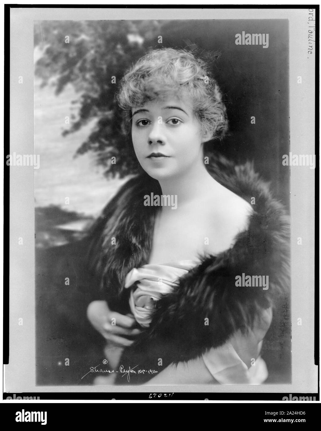 Pauline Herr, Brustbild, Blick leicht nach links Stockfoto