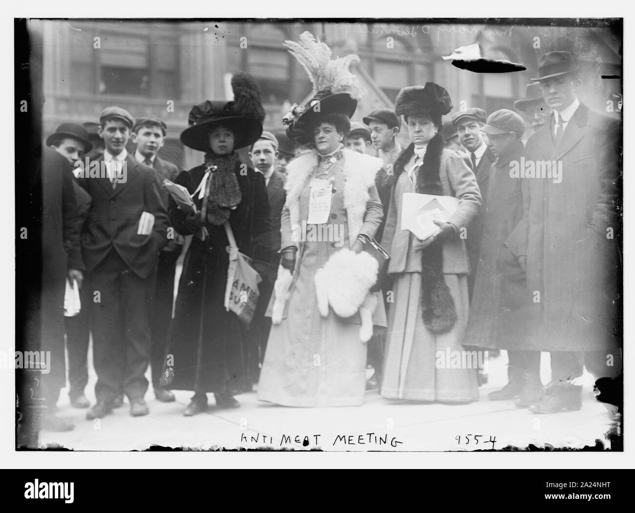 Die Leute an der anti-Fleisch, New York Stockfoto