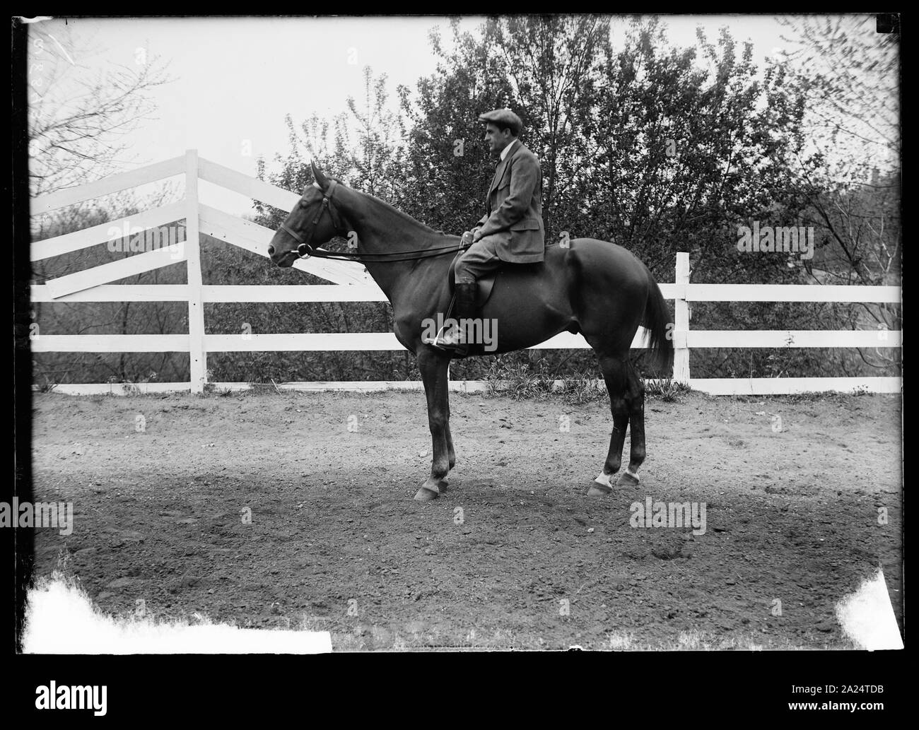 Person auf dem Pferderücken Stockfoto