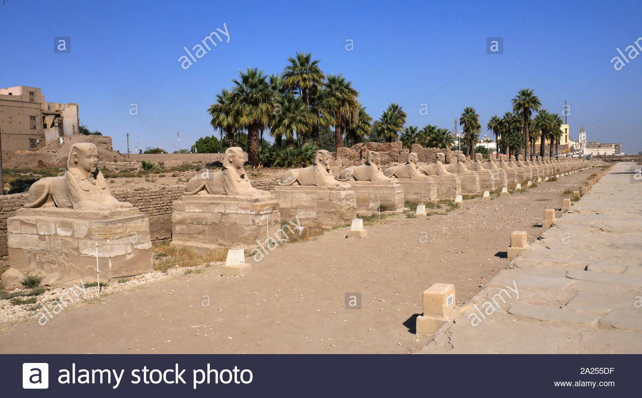 Ram-Statuen Auskleidung der Eingang zum Alten Ägyptischen Luxor Tempel in Luxor (antike Theben); ab 1100 v. Chr.-1600 v. Chr. gebaut. Luxor Tempel wurde mit Sandstein vom Gebel el-Silsila, im Süd-westen von Ägypten. Dieser Sandstein wird als Nubischen Sandstein bezeichnet. Von den mittelalterlichen Zeiten der muslimischen Bevölkerung von Luxor hatte in und um den Tempel nieder, an der nach Süden Ende der Halterung. Es wurde festgestellt, dass der Luxor Tempel hält große Bedeutung für das Opet-fest. Der Luxor Tempel war der thebanischen Triade der Kult des königlichen Ka, Amun, Mut und Khonsu Stockfoto