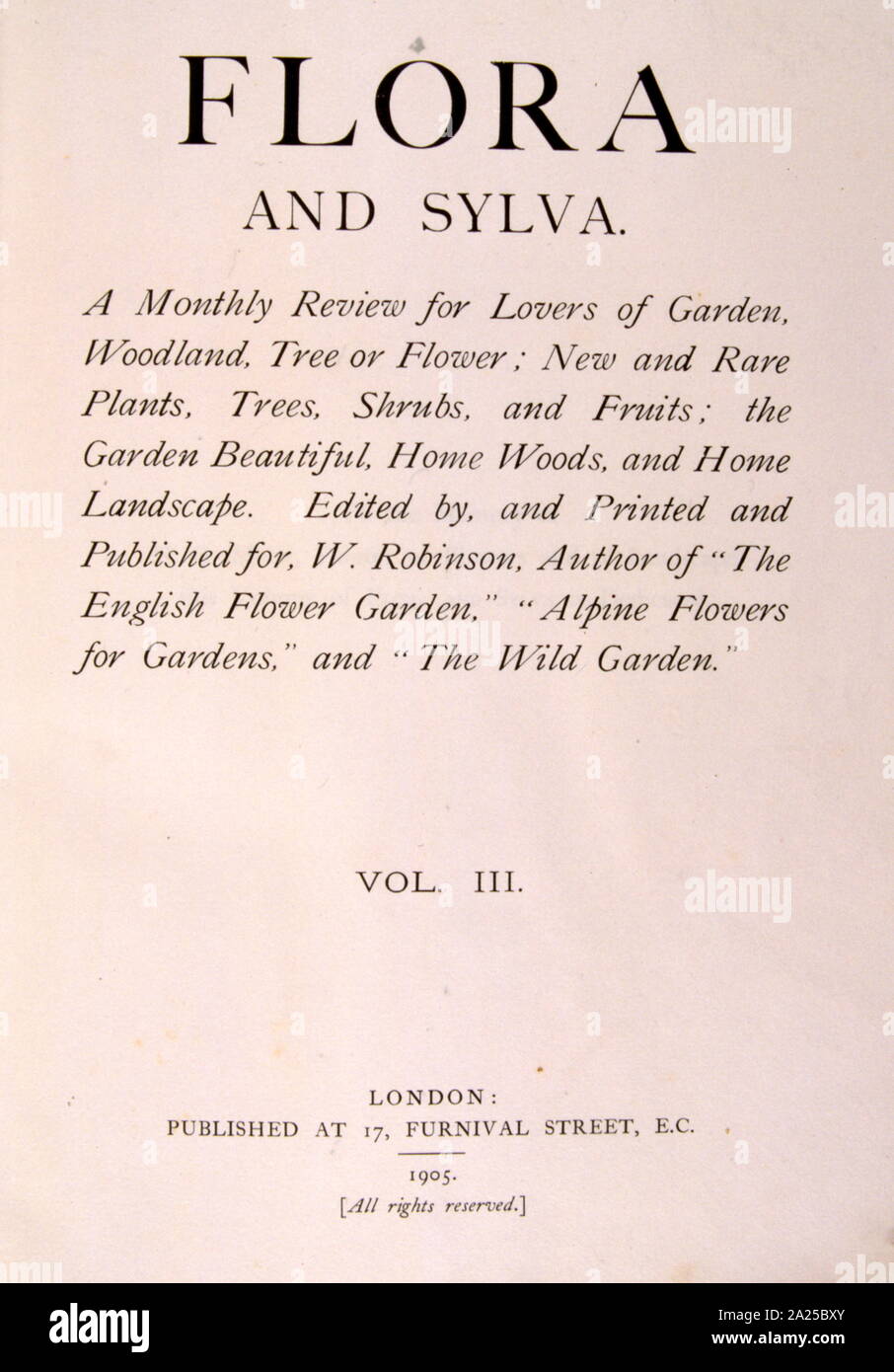 Anlage, Abbildung von 'Flora und Sylva" von W. Robinson, London. 1904 Stockfoto