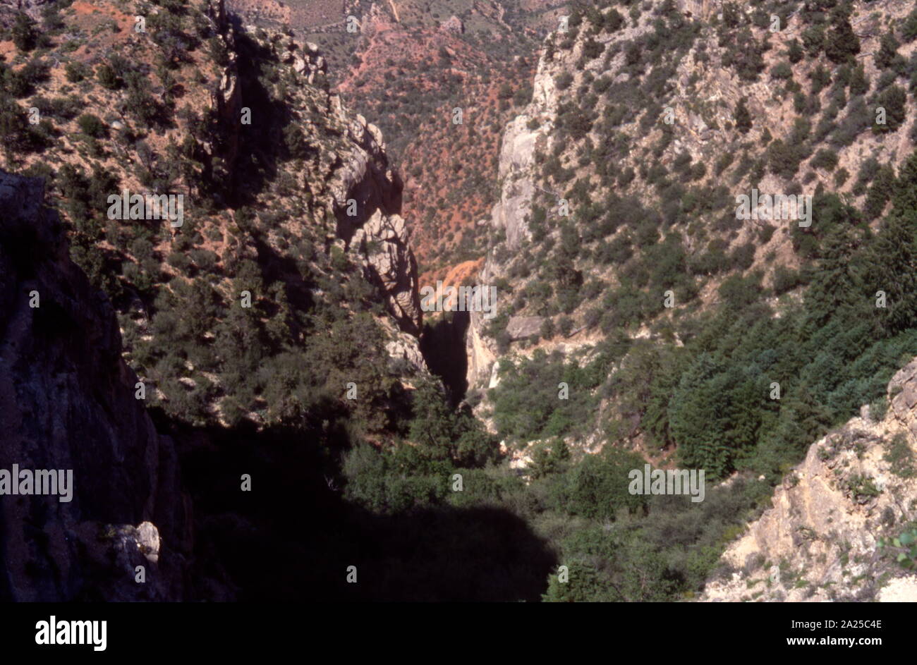 Der Grand Canyon ist eine steile Schlucht geschnitzt von den Colorado River in Arizona, Usa. Der Grand Canyon ist 277 Meilen (446 km) lange, bis zu 18 Meilen (29 km) breit und erreicht eine Tiefe von über 800 m (6,093 feet oder 1.857 Meter) Stockfoto