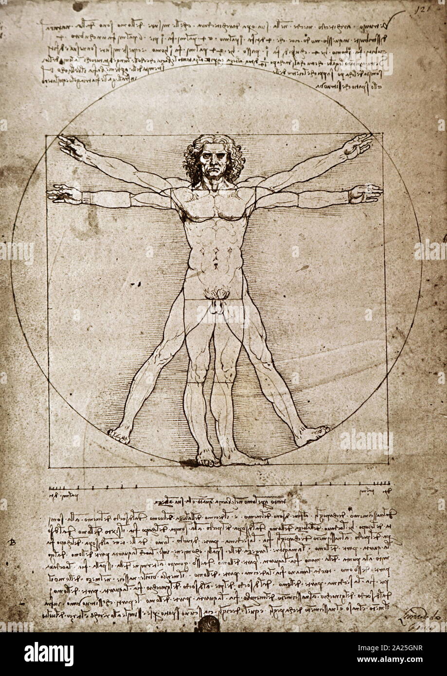 Die Proportionen der menschlichen Gestalt von Leonardo da Vinci. Leonardo di ser Piero da Vinci (1452-1519), einem italienischen Universalgelehrten der Renaissance. Stockfoto