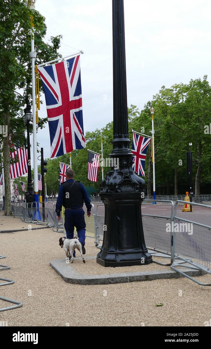 Die Mall auf dem Weg zum Buckingham Palace, London, von der Polizei mit Sniffer Hund gesichert, die während des Staatsbesuchs von Präsident Donald Trump, Juni 2019 Stockfoto