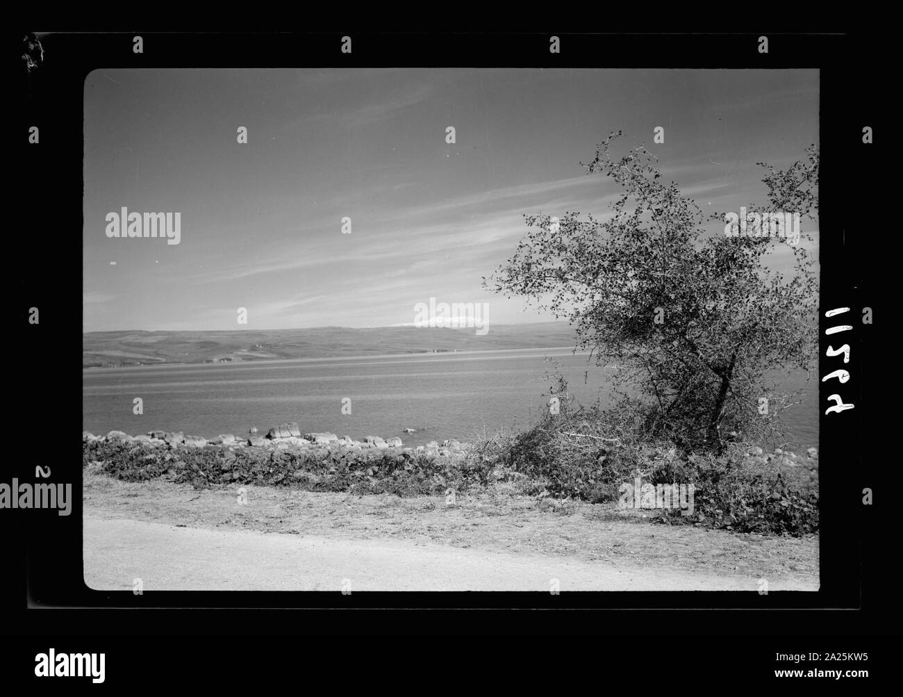 Einen malerischen Blick auf den Mt. Hermon und den See. See von Galiläa und Mt. Hermon, von Magdala Straße Stockfoto