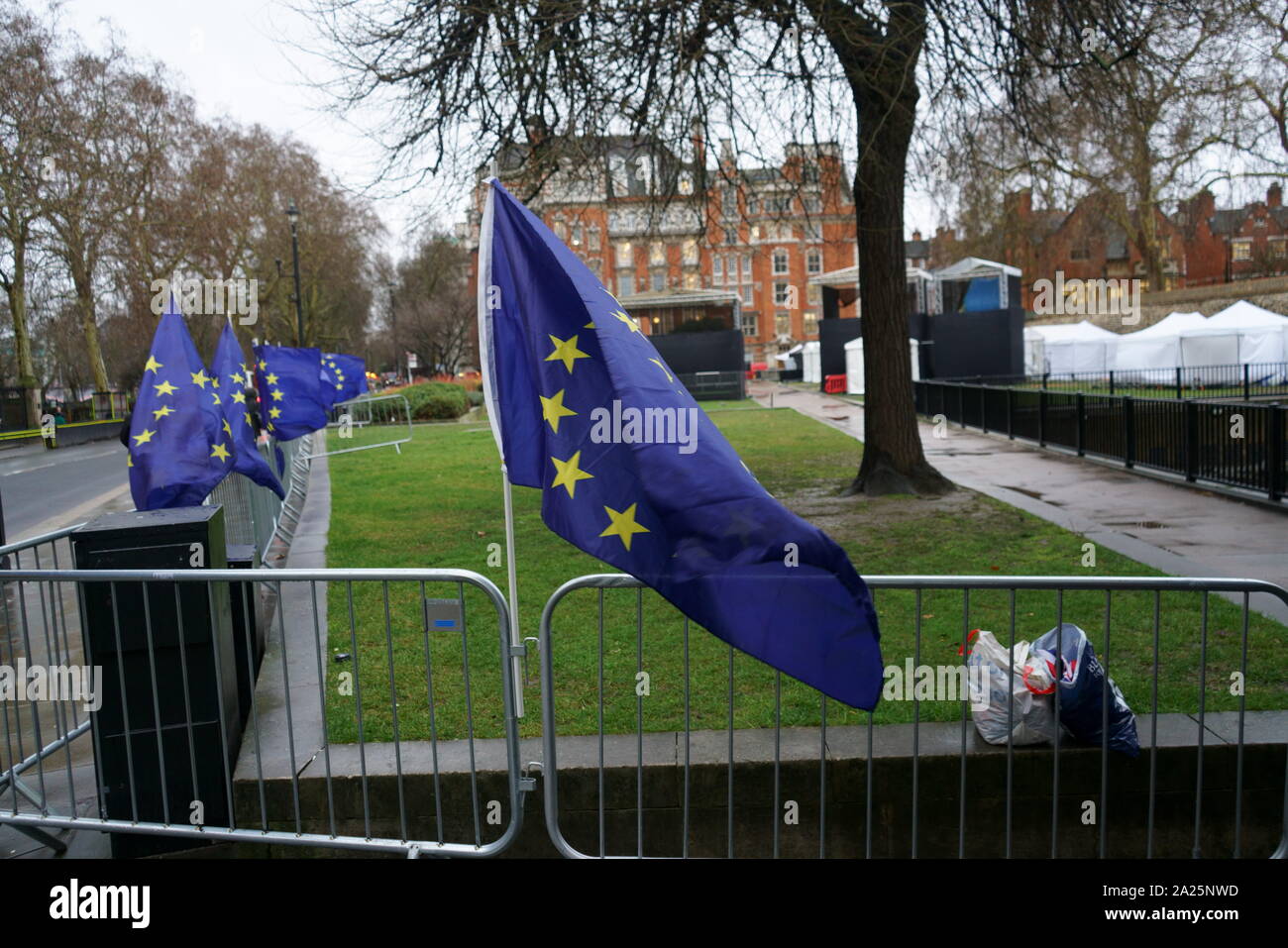 Eu-Flaggen am College Green gegenüber dem britischen Parlament. März 2019 Protest anspruchsvolle eine frische EU-Referendum Stockfoto