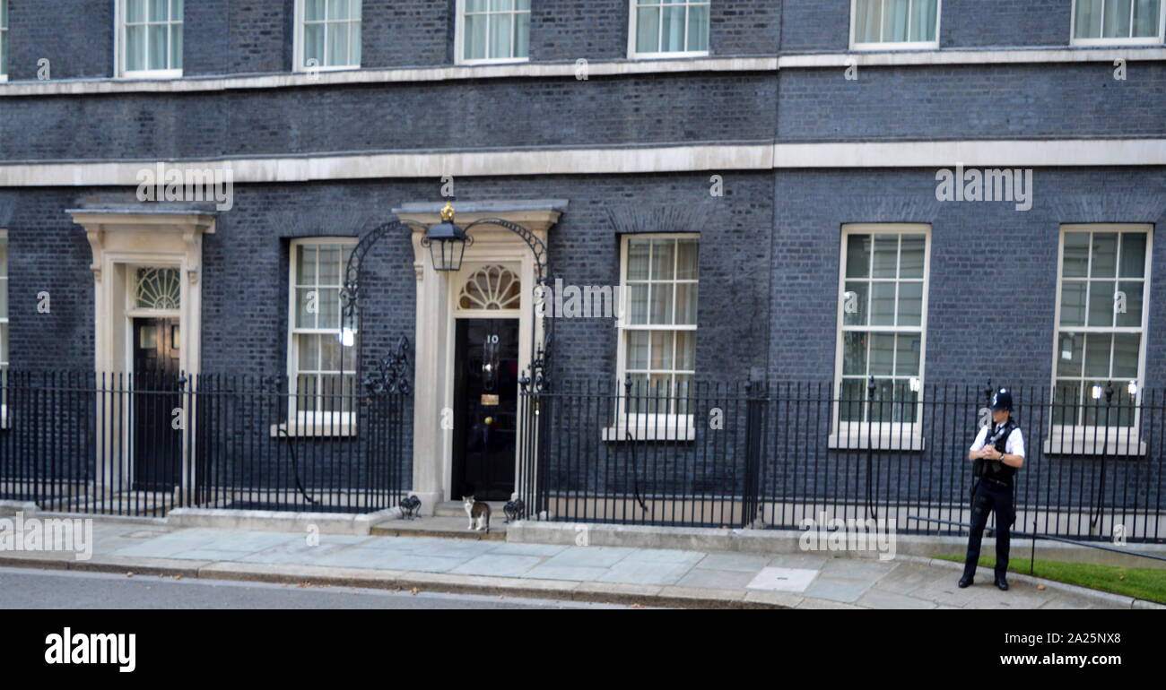 Larry der Downing Street 10 Katze und Chief mouser des Cabinet Office. An der Tür Nummer 10 Downing Street Büro und Wohnsitz des britischen Premierministers Stockfoto