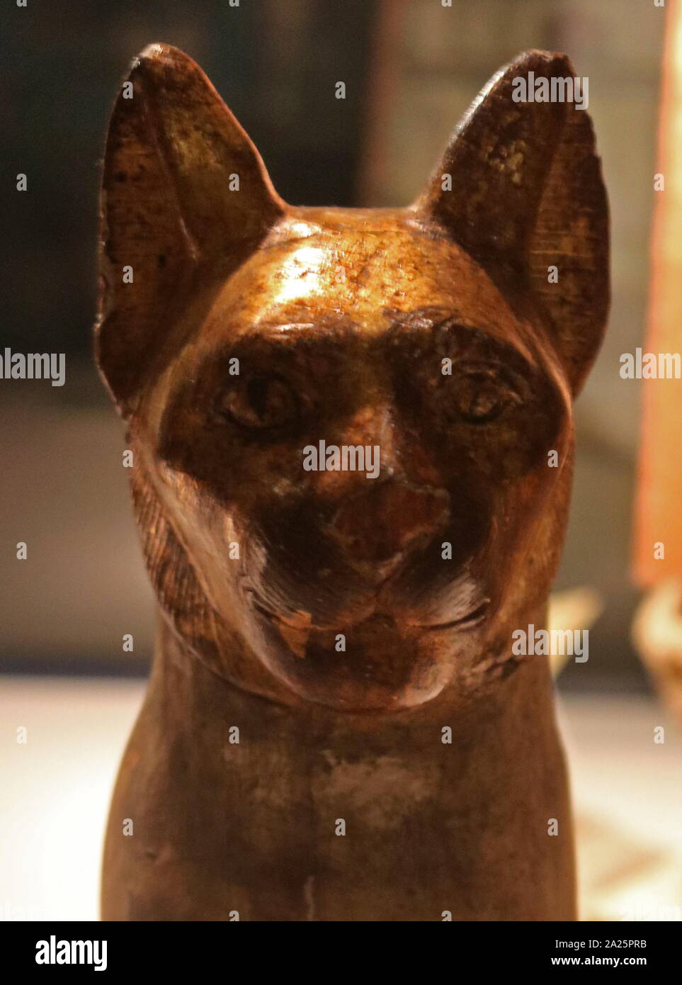 Vergoldete hölzerne Statue der Göttin Bastet Katze von Gurna in Ägypten. Ende der Zeit ca. 400 v. Chr. Stockfoto