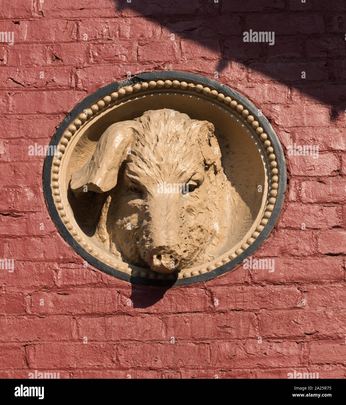 Schwein - Kopf Detail auf der Außenwand der Center Market in Wheeling, West Virginia. 1853, die Innenstadt Marktplatz ist nicht nur der älteste Markt Haus in Wheeling, sondern auch das älteste in der Nation Stockfoto