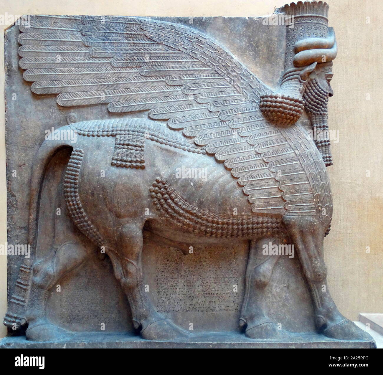 Menschliche - vorangegangen geflügelten Stier aus dem Palast Sargons II. in Dur-Sharrukin, moderne Khorsabad. In der Kunst, Lamassu wurden mit den Körpern der beiden geflügelten Stiere oder Löwen und Leiter der menschliche Männer dargestellt. Dur-Sharrukin (Festung von Sargon?), heutigen Khorsabad, war der assyrischen Hauptstadt in der Zeit von Sargon II. von Assyrien. Khorsabad ist ein Dorf im Norden des Irak, nordöstlich von Mossul. Die große Stadt war ganz in der Dekade vor 706 v. Chr. erbaut Stockfoto