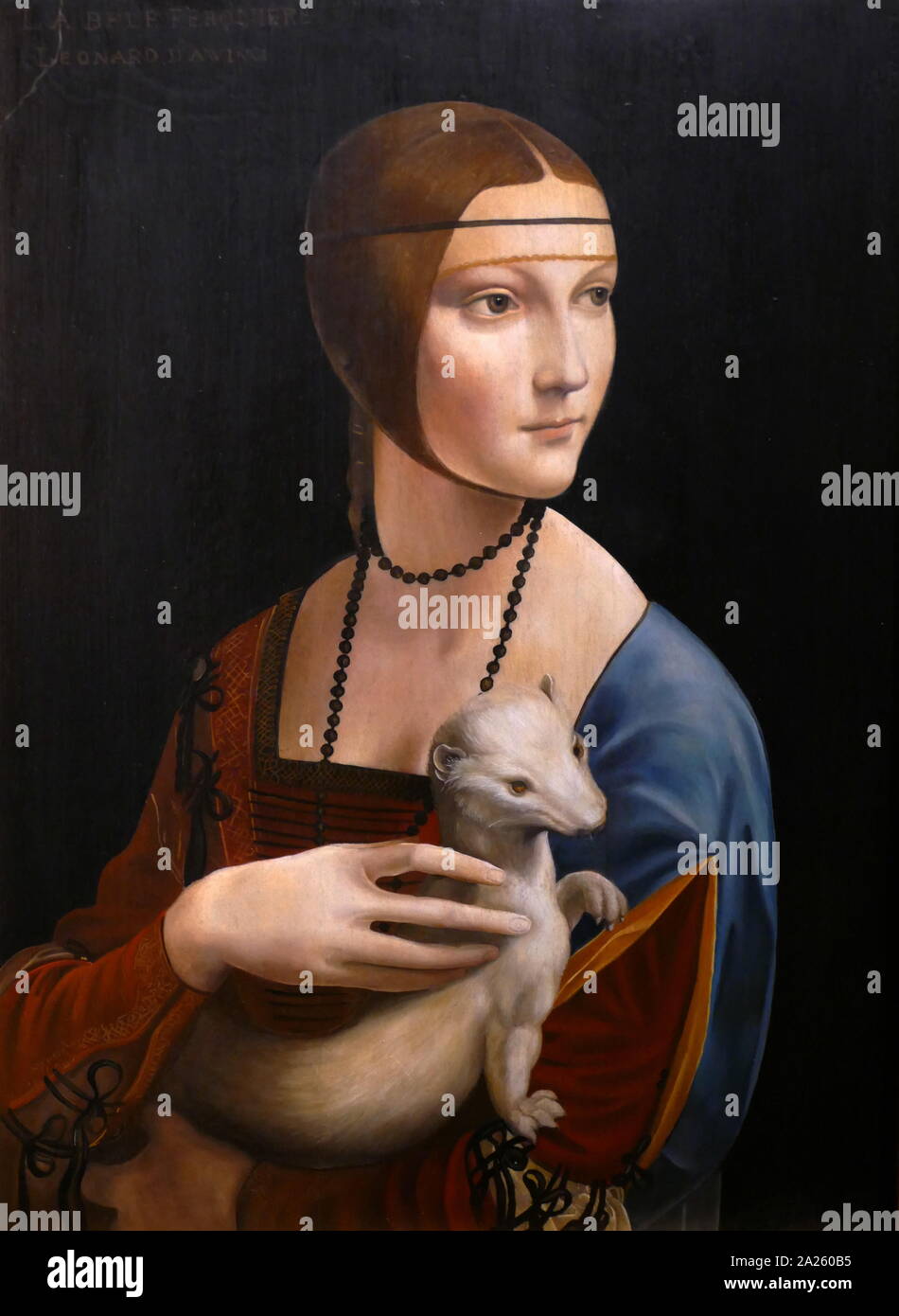 Dame mit Hermelin, ein Gemälde des italienischen Künstlers Leonardo da Vinci, ca. 1489-1490. Das Thema des Porträt ist Cecilia Gallerani, in einer Zeit, in der sie war die Herrin von Ludovico Sforza, Herzog von Mailand gemalt, und Leonardo war in der Duke's Service. Stockfoto