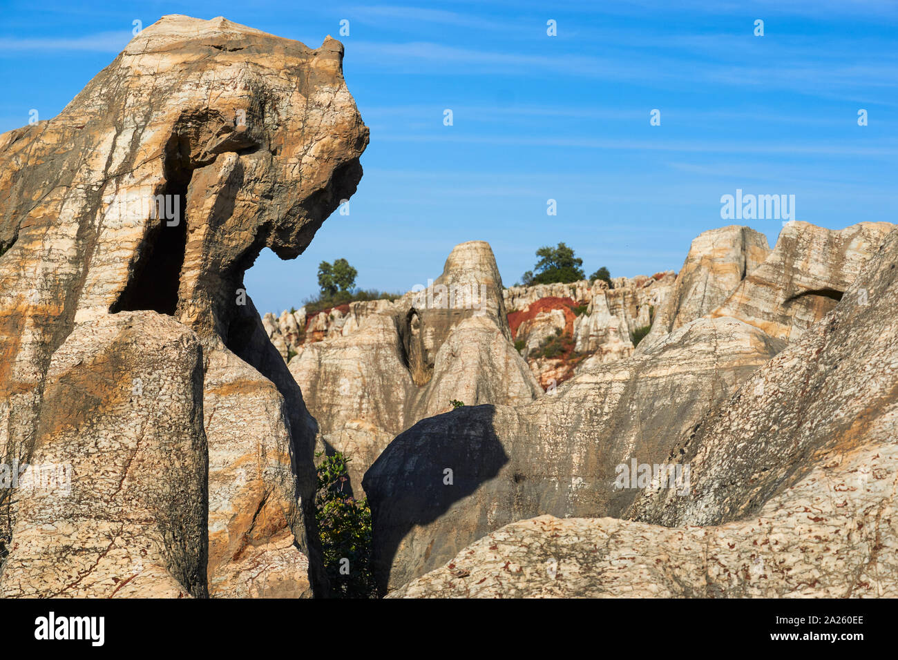 Cerro del Hierro, Naturpark. Sevilla. Andalusien, Spanien Stockfoto