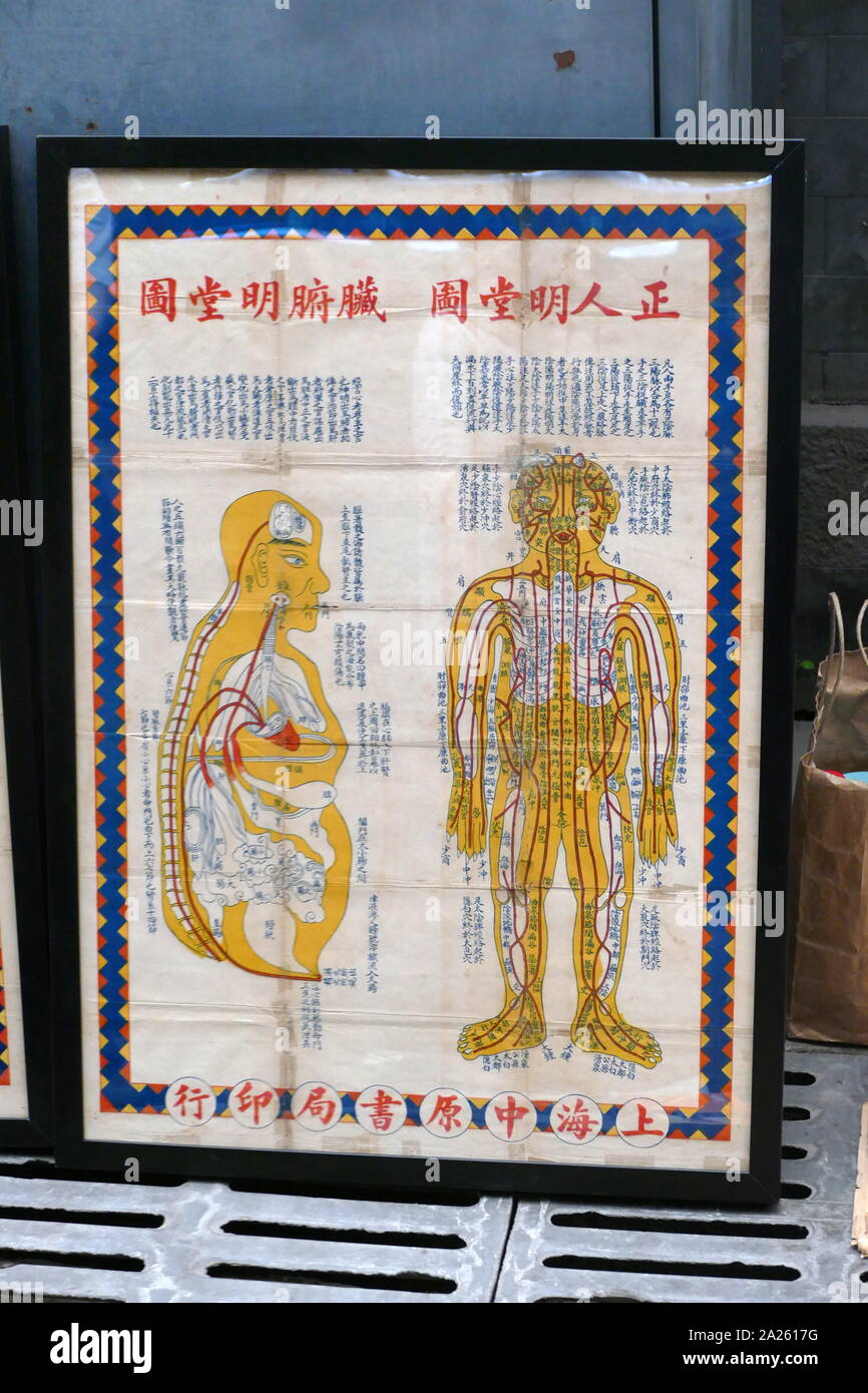 Akupunktur Chart auf Verkauf in Peking, China, in 2019. Akupunktur wird geglaubt, um 100 v. Chr. in China, um die Zeit des Gelben Kaisers Klassiker der inneren Medizin (huangdi Neijing) veröffentlicht wurde, entstanden zu sein Stockfoto