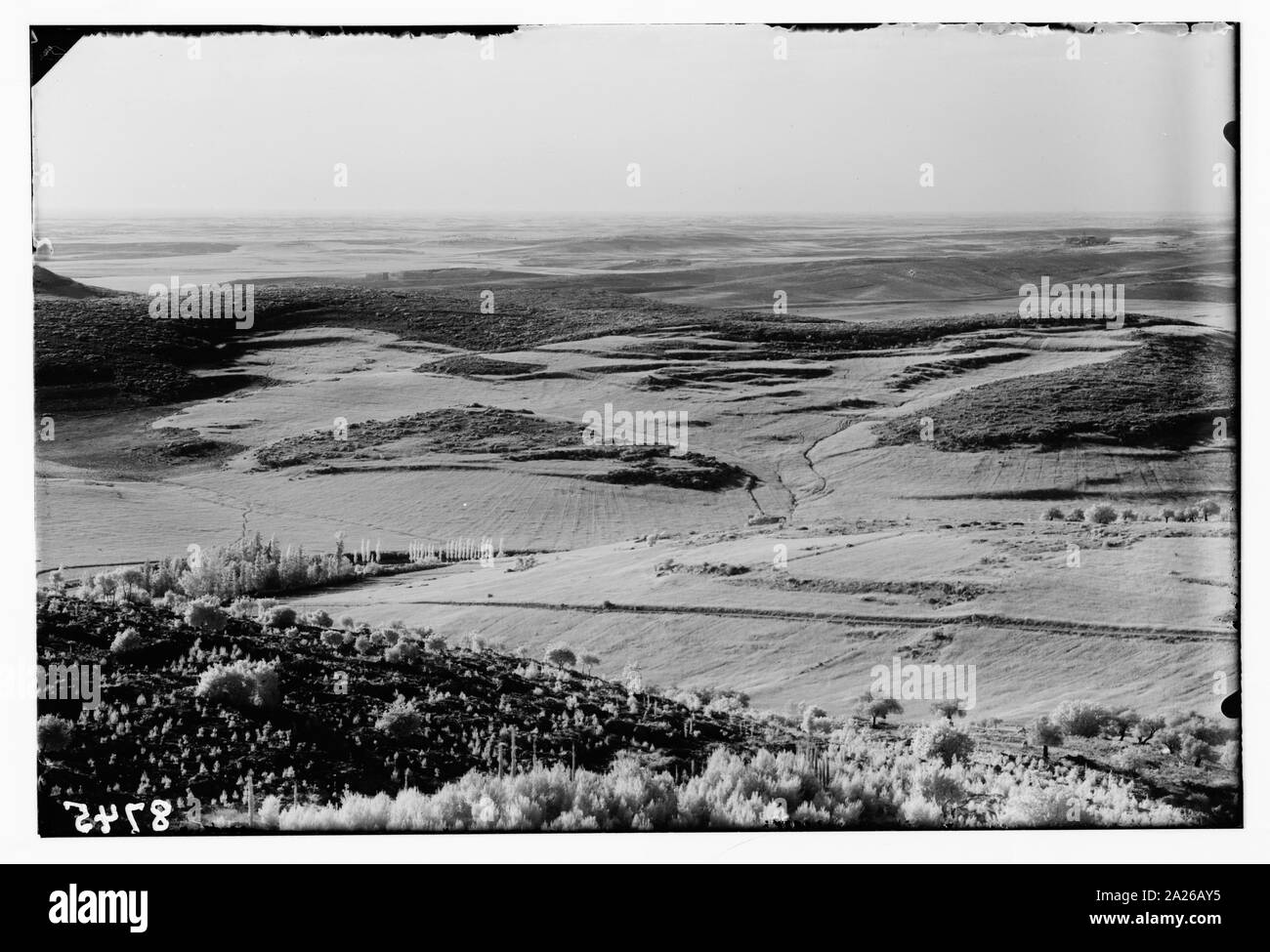 Ebene von Sharon aus Beit Jamal. Tal von Elah Stockfoto