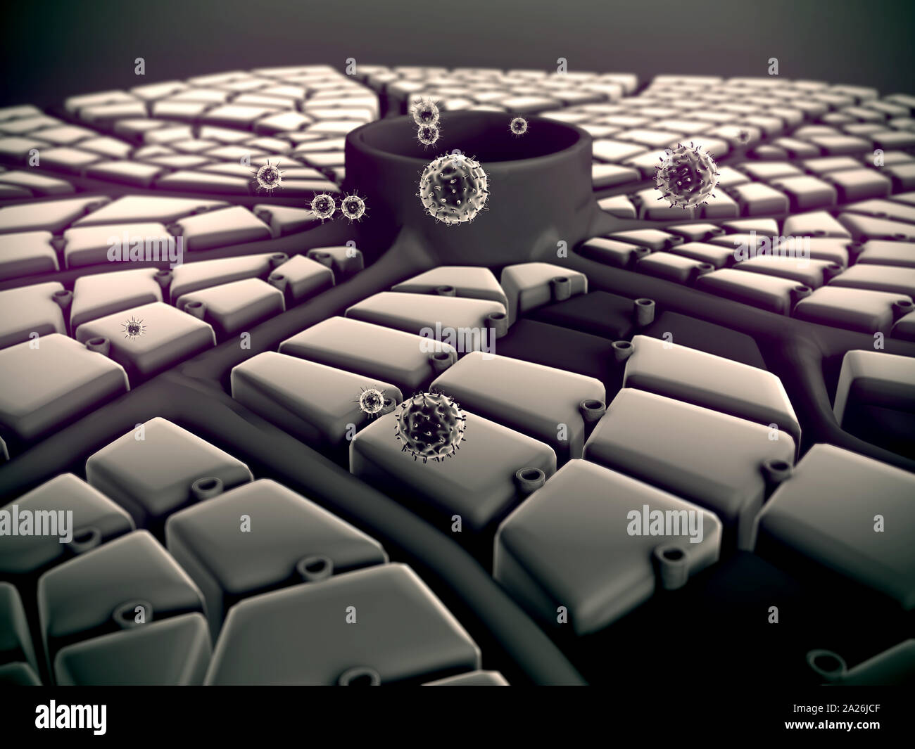 Virus dringt in die Zelle, Lebererkrankungen, Virus, das die Lungen in Angriff, der Prozess der Infektion von Zellen Stockfoto