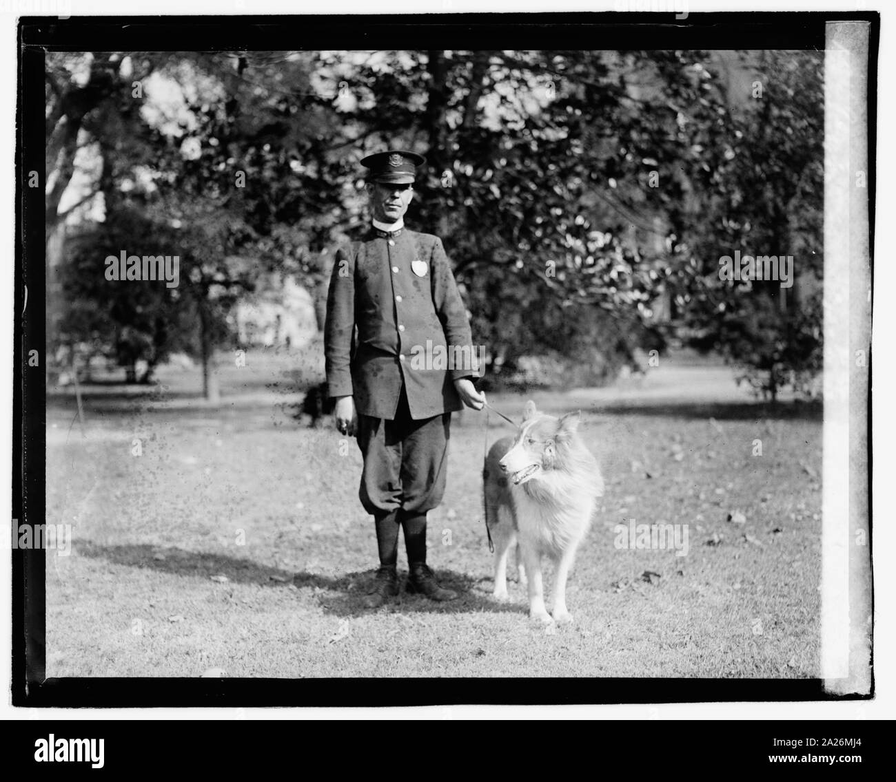 Polizist stand in einem Park mit einem Hund von der Leine Stockfoto