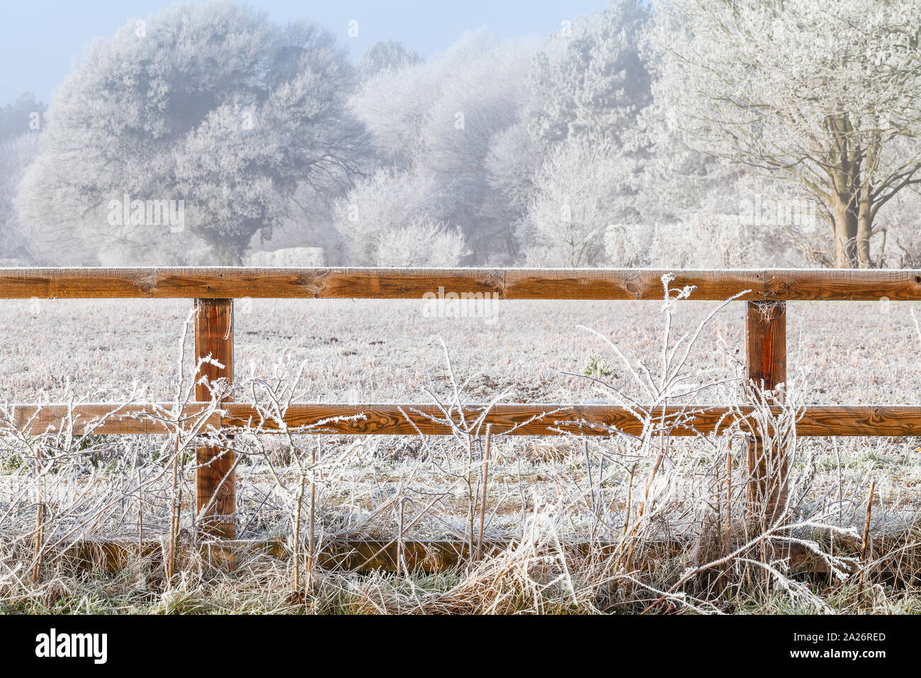 Schönen ländlichen winter schnee Szene mit zwei bar Holzzaun und schneebedeckten Bäumen Stockfoto