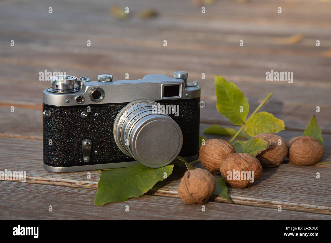 Noch immer leben Herbst Stimmung Bild mit Vintage Kamera, die Blätter und die Muttern auf Holz- Hintergrund Stockfoto
