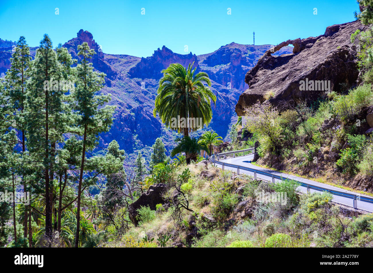 Soria Tal mit schönen Landschaft - Kanarische Insel Gran Canaria, Spanien Stockfoto