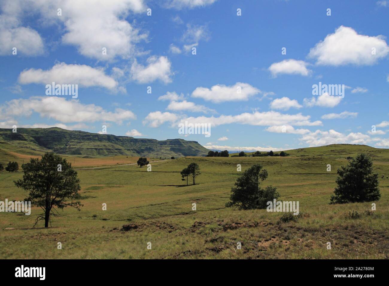 Hochebene in den afrikanischen Drakensbergen Stockfoto