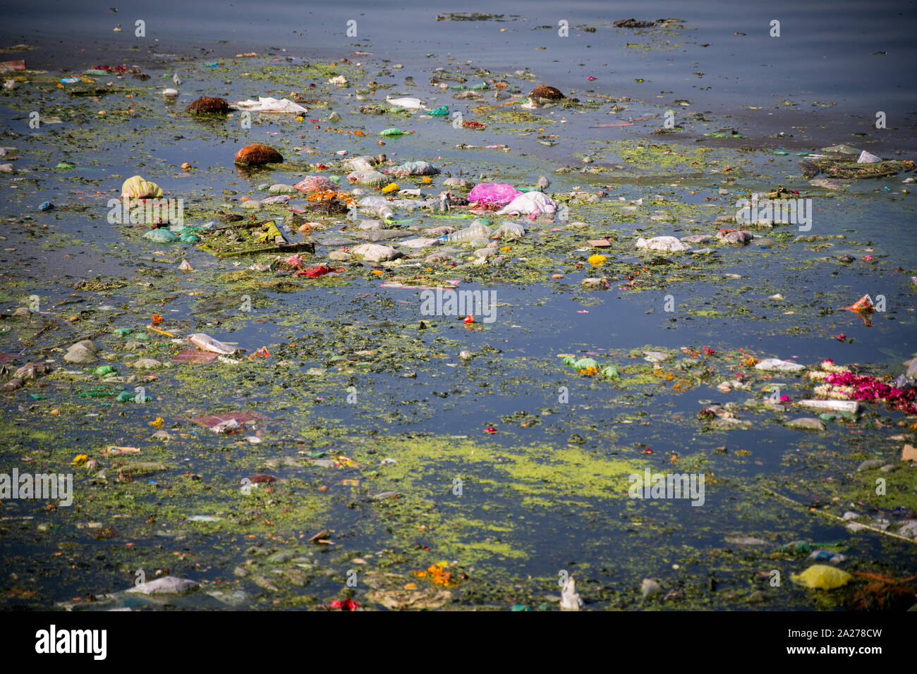 Klima Verschmutzung durch Plastikflaschen im Fluss Stockfoto