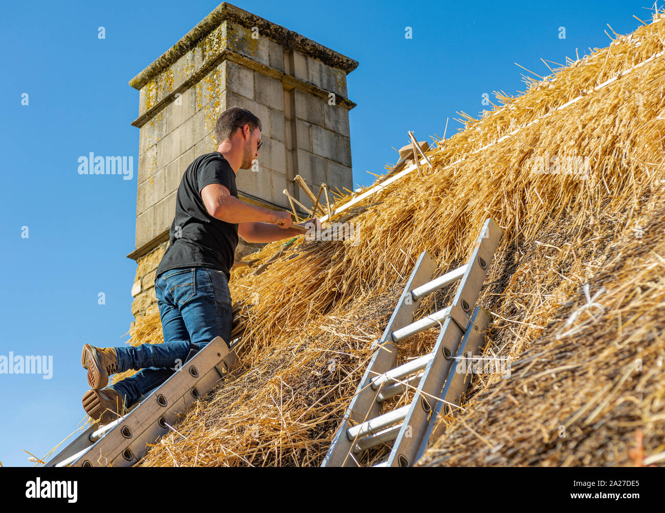 Als Thatcher Arbeiten auf dem Dach eines Dorfes cottage Instandsetzung und Erneuerung der Stroh und Austausch der Ridge Stockfoto