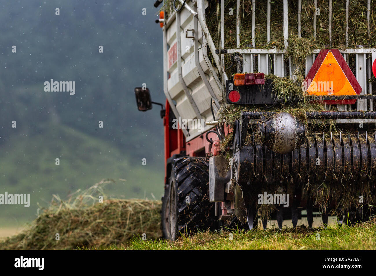 Die milchviehhaltung Ziegen melken Käseproduktion Feld arbeiten Ernten Stockfoto