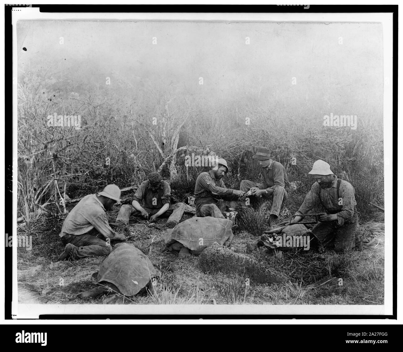 Vorbereitung auf die Spur Stockfoto