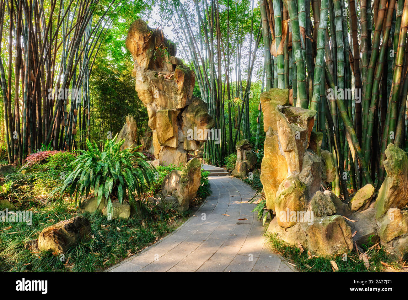 Park in Chengdu, China Stockfoto