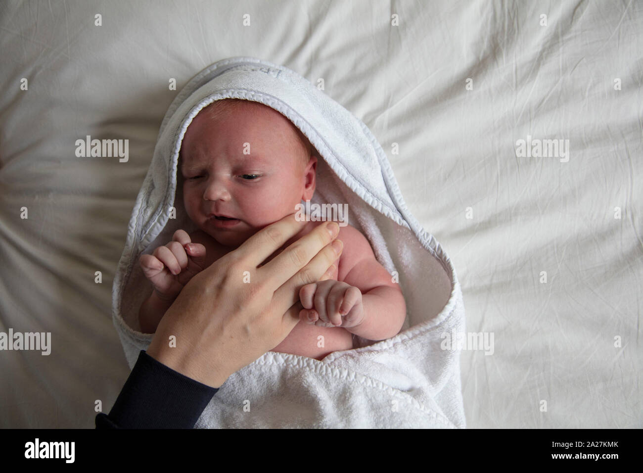 Ein neugeborenes Baby in einer weißen Decke von Mama getröstet wird eingewickelt Stockfoto