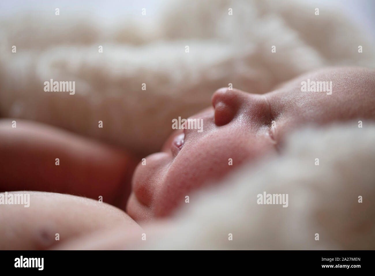 Nahaufnahme von einem niedlichen Neugeborenen Stockfoto
