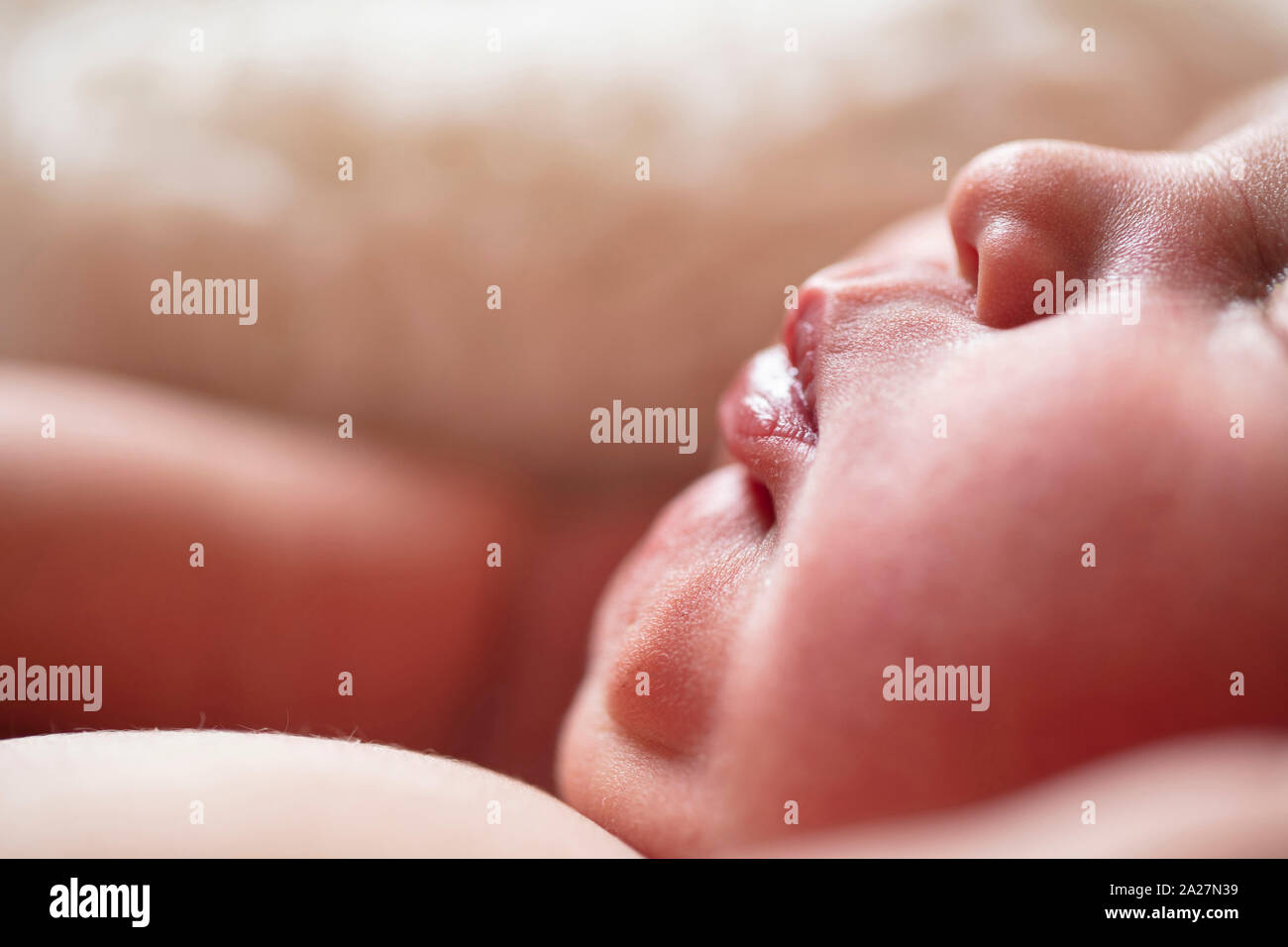 Nahaufnahme von einem niedlichen Neugeborenen Stockfoto
