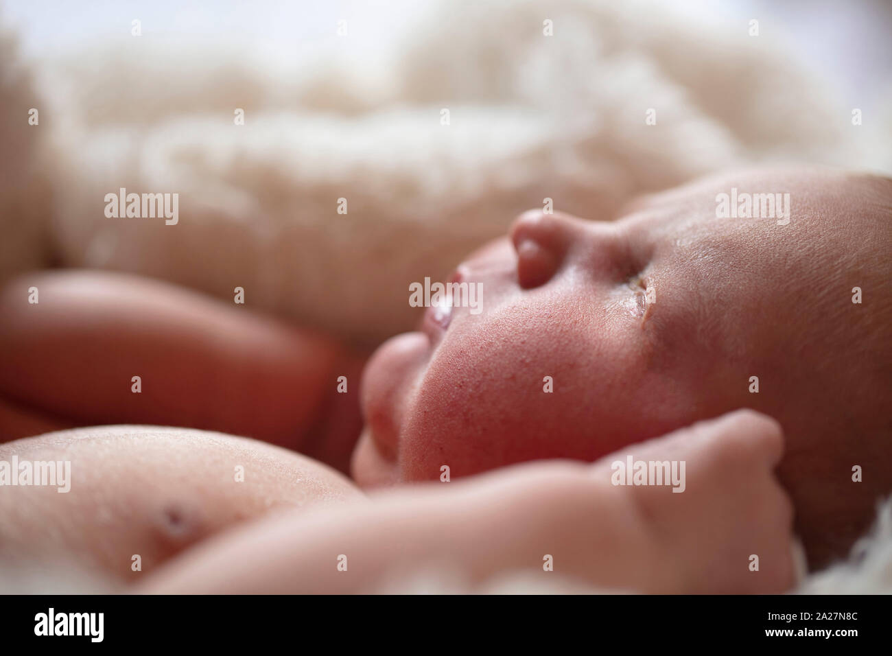 Nahaufnahme von einem niedlichen Neugeborenen Stockfoto