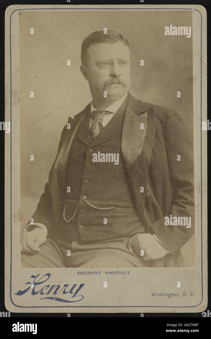Präsident Roosevelt/Henry, Washington, D.C. Stockfoto