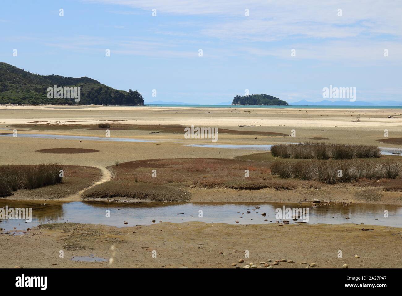 Mündung mit Schilf und Wasserkanälen, Abel Tasman, Neuseeland. Aufgenommen am Anfang des NZ Great Walk, Abel Tasman Trail. Stockfoto