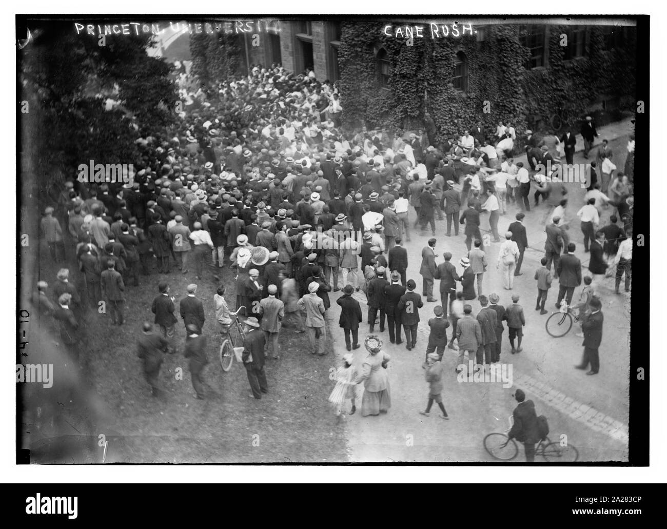 Princeton University Zuckerrohr Rush Stockfoto