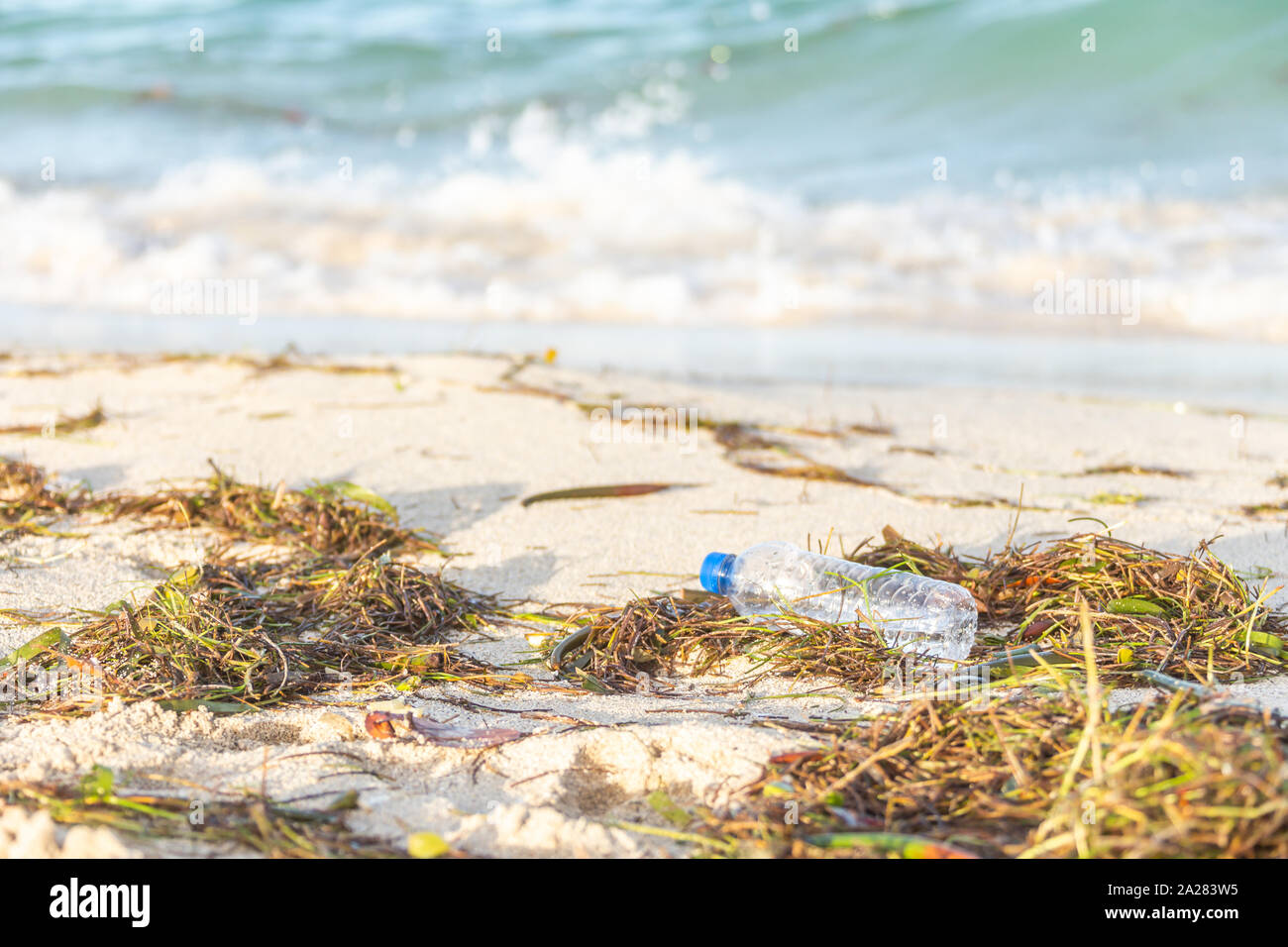 Plastikflasche mit Kappe oben auf einem Strand gespült, gemischt mit Algen Stockfoto