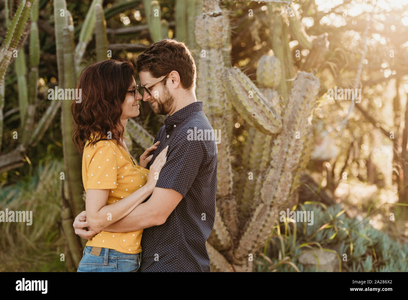 Der Mann und die Frau einander umarmen im sonnigen Kaktus Garten Stockfoto