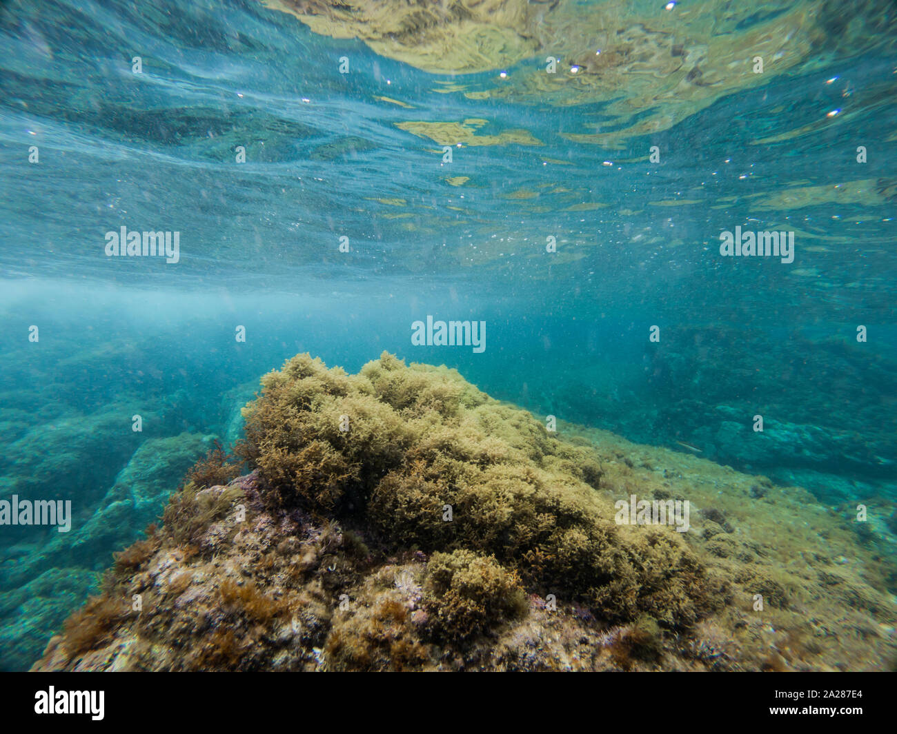 Unterwasser Reflexionen Stockfotos und -bilder Kaufen - Alamy