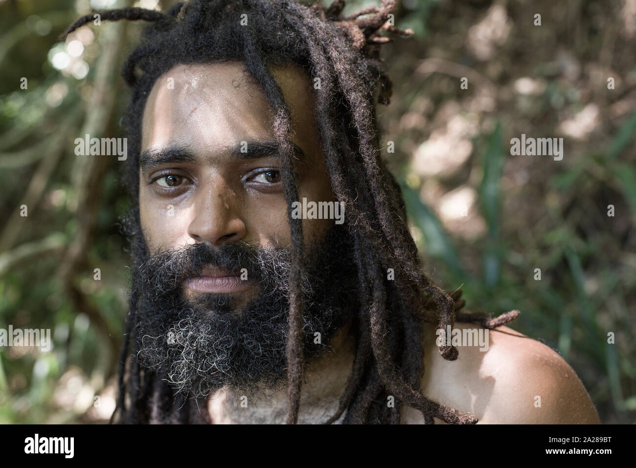 Porträt einer brasilianischen rasta Mann in den Atlantischen Regenwald Stockfoto