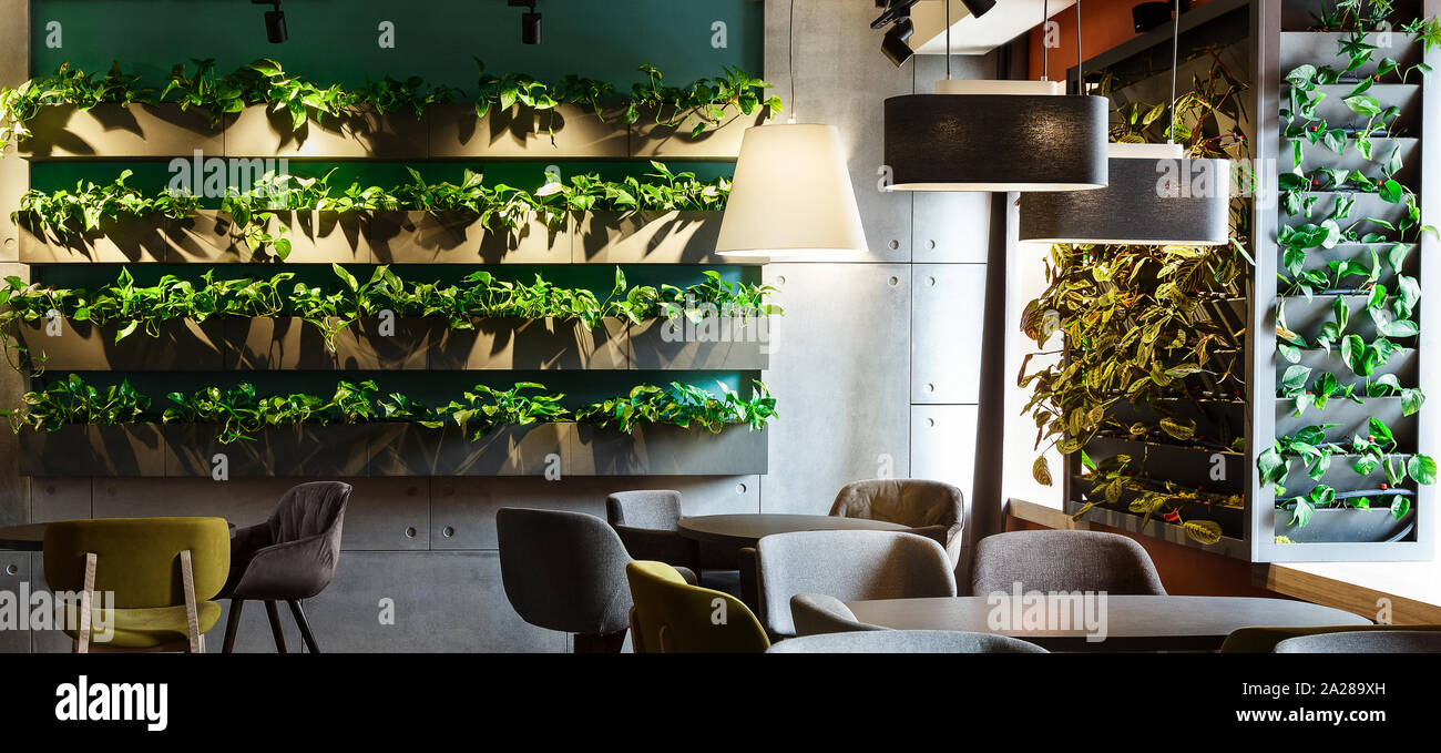 Blumen innen in modernen Cafe Dekoration mit Pflanzen in Töpfen Stockfoto