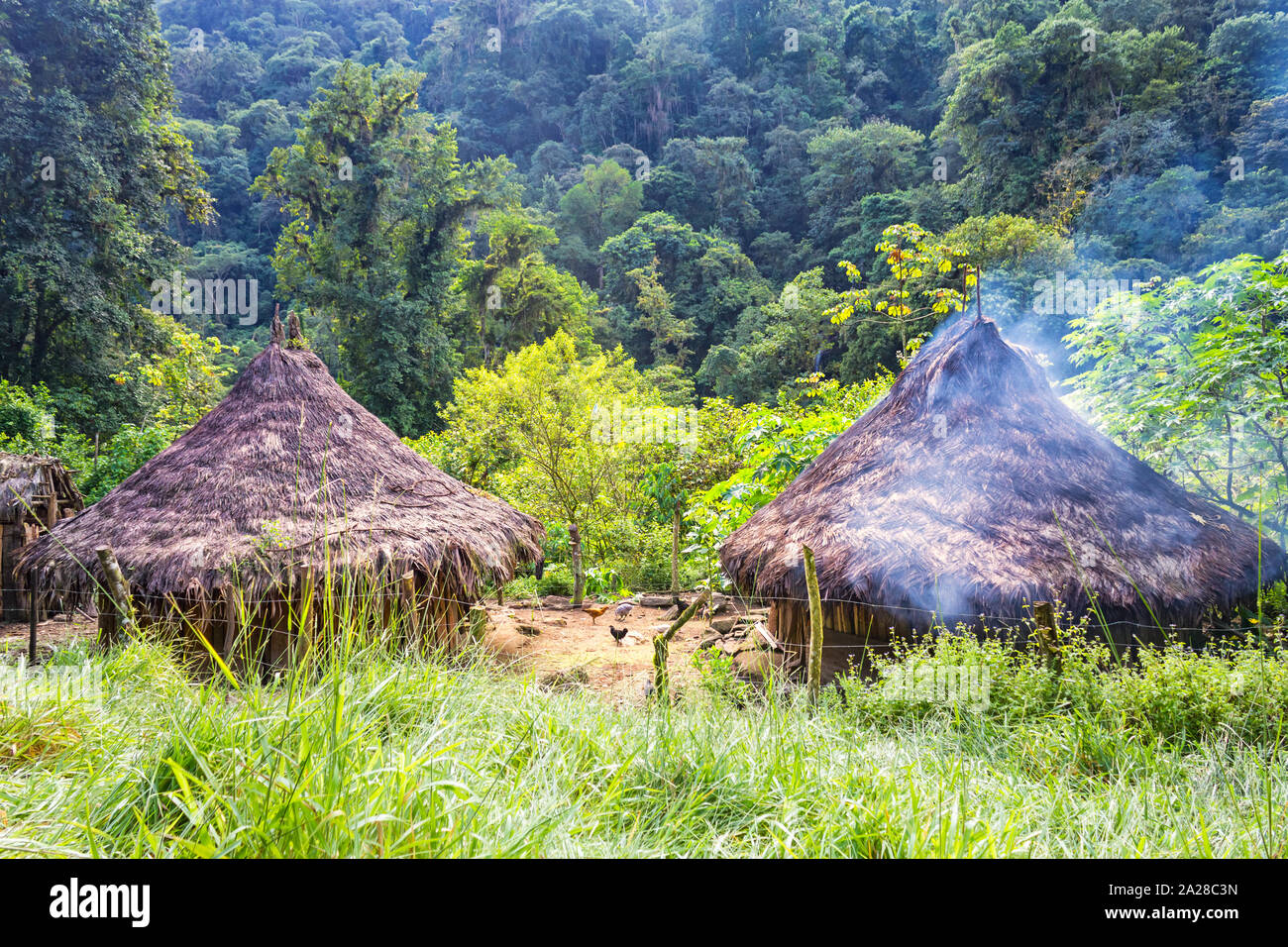 Traditionelle Kogi Hütten in der Nähe von Ciudad Perdida in der Sierra Nevada de Santa Marta, Kolumbien. Stockfoto