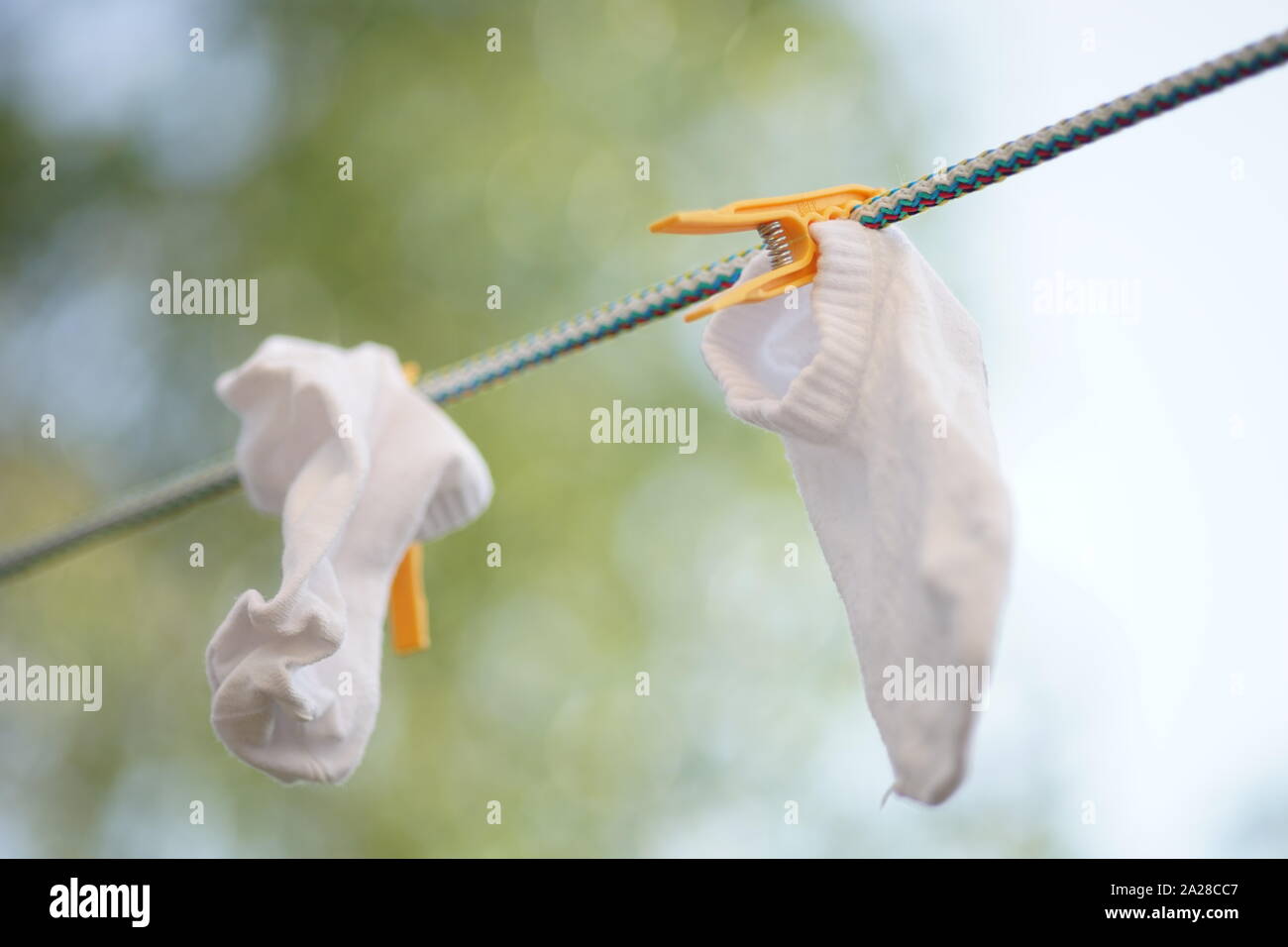 Weiße Socken sind auf einem Seil mit Wäscheklammern im Garten getrocknet Stockfoto