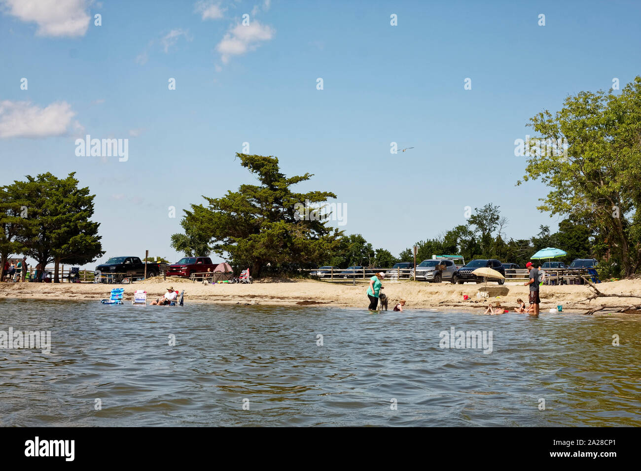 Strand, Sand, Leute, entspannend, in Wasser, Fahrzeuge, Bäume, Picknick Sinepuxent taqbles; Bucht; Assateague Island National Seashore; USA; Berli Stockfoto