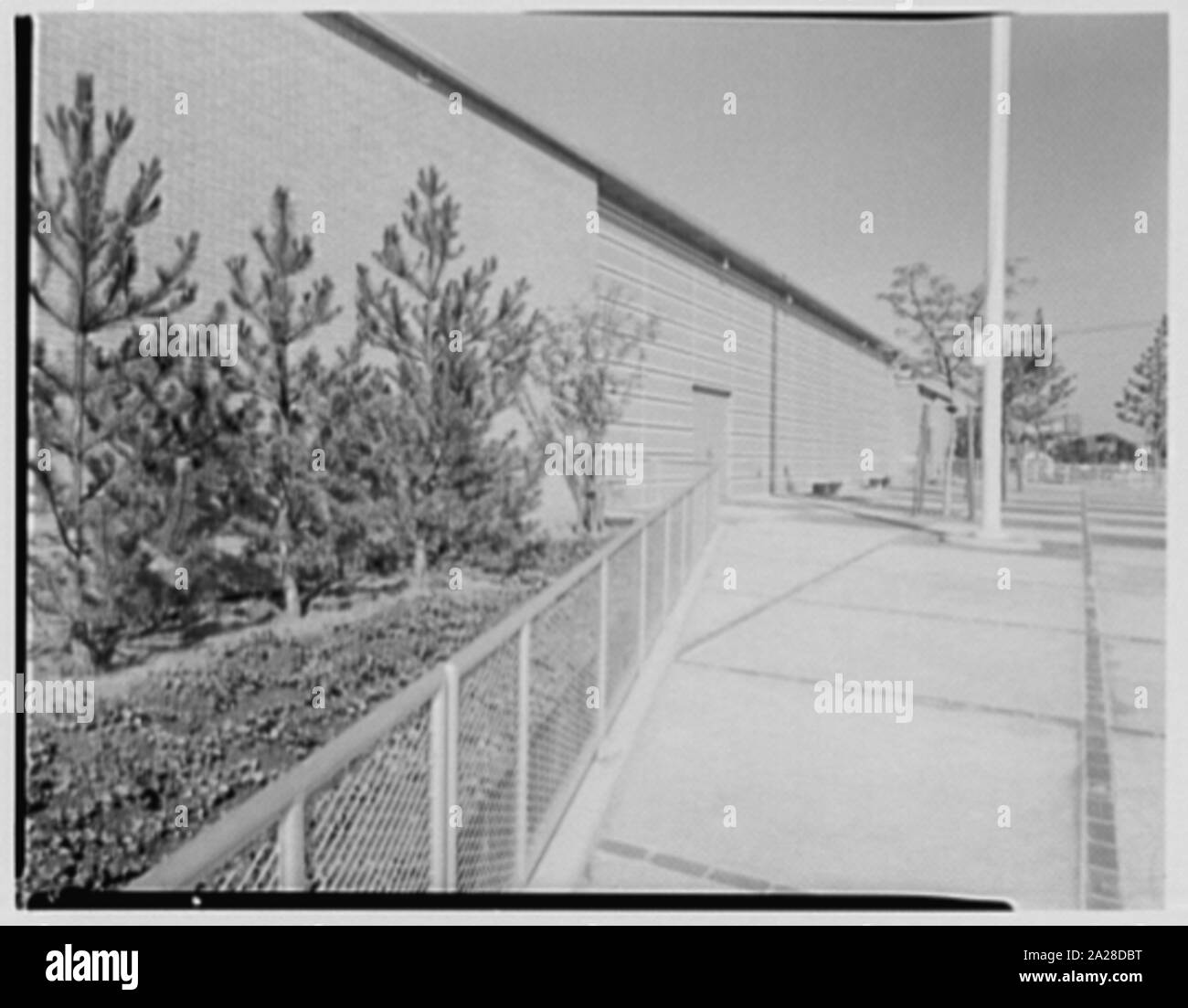 Public School 220, Horace Harding Blvd., Forest Hills, Long Island. Stockfoto