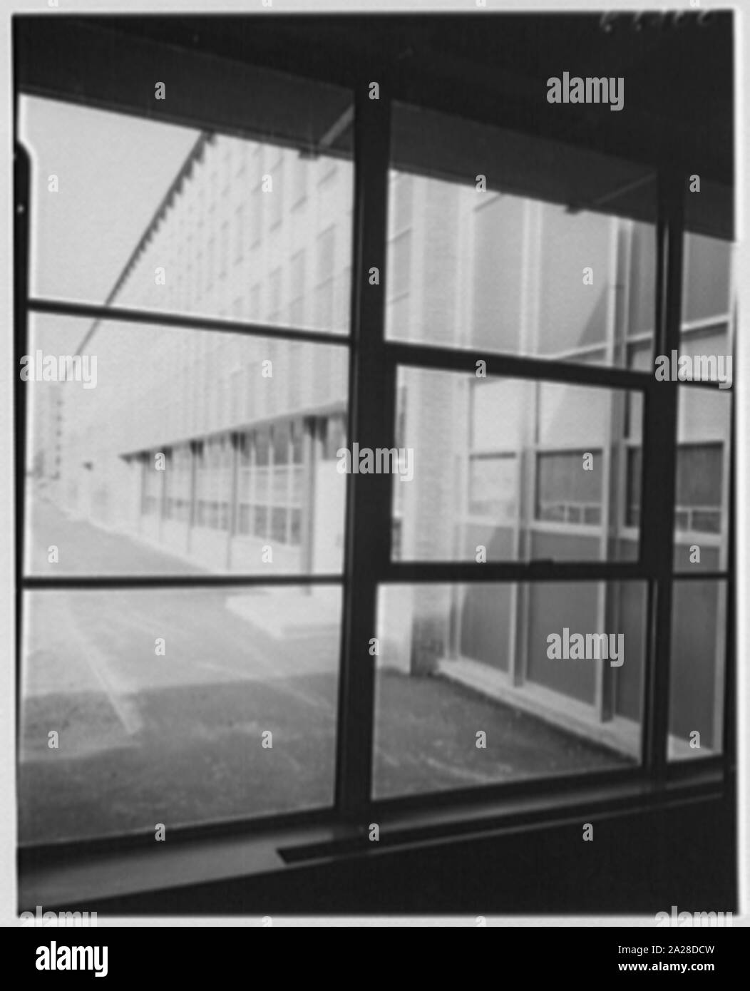 Public School 220, Horace Harding Blvd., Forest Hills, Long Island. Stockfoto